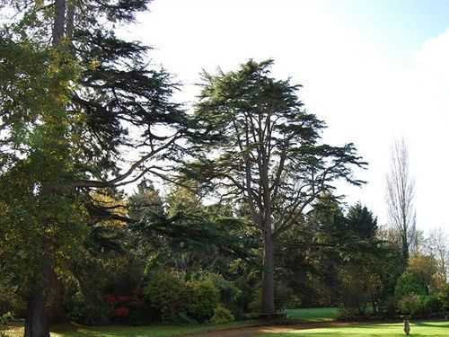 Langaller Manor House Taunton Exterior foto